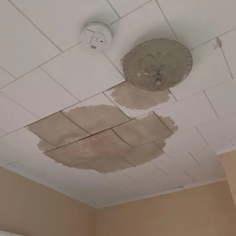 Ceiling Water Damage Repair in Mount Vernon, IA