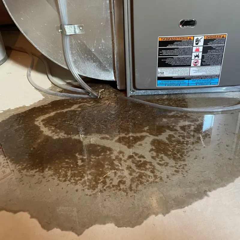 Pipe Burst and Leak Restoration in Mount Vernon, IA