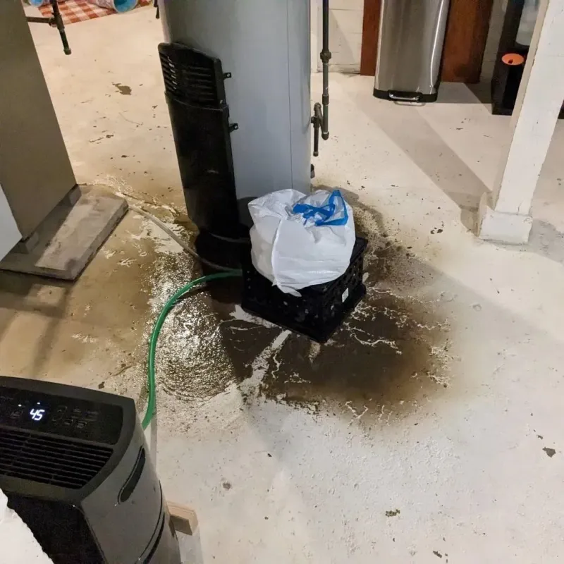 Sewage Backup Cleanup Service in Mount Vernon, IA